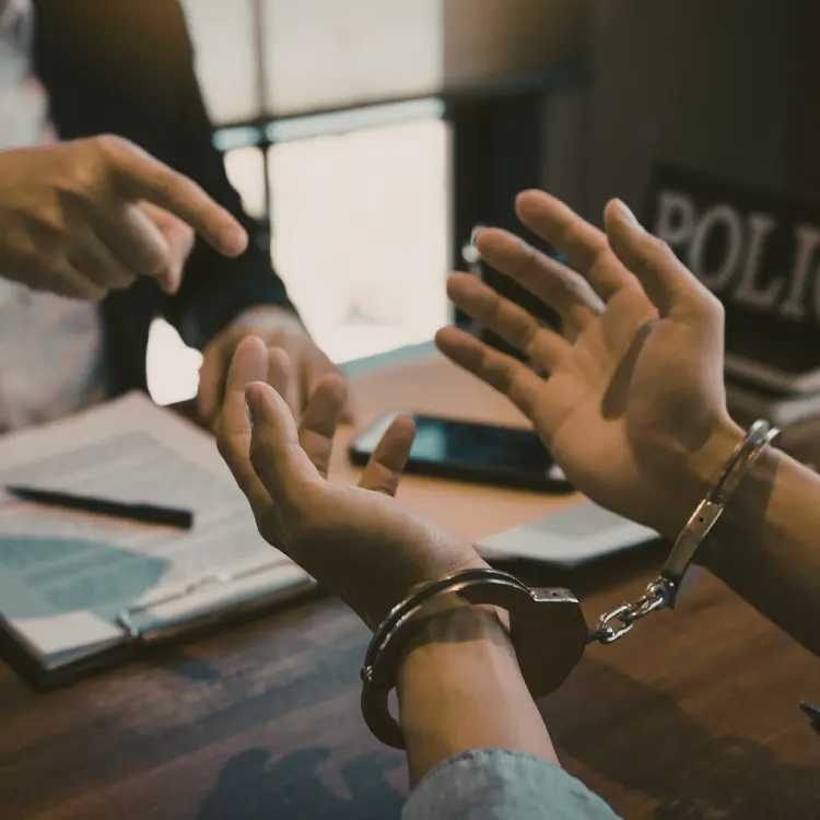 הפרעה לשוטר במילוי תפקידו חקירה ומעצר